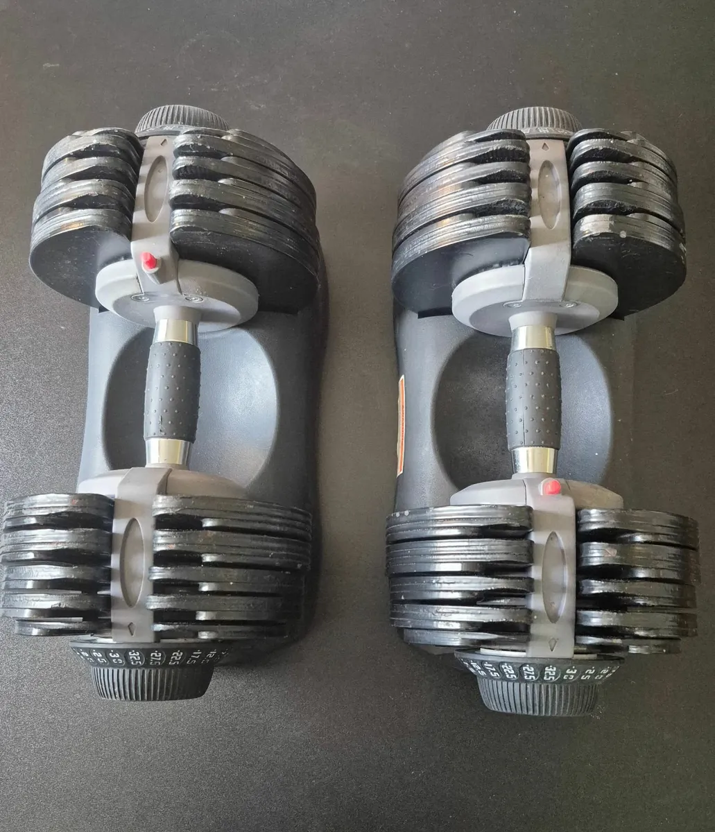 Adjustable Dumbbells - Image 1