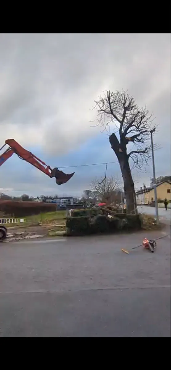 Tree service able for all work - Image 3