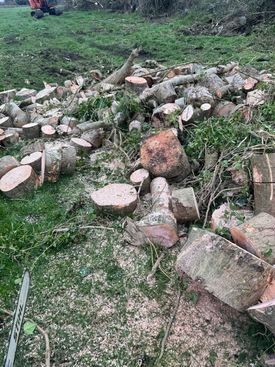 Tree service able for all work - Image 1