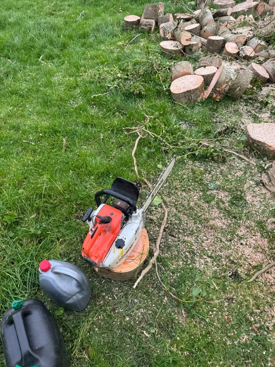 Tree service able for all work - Image 2