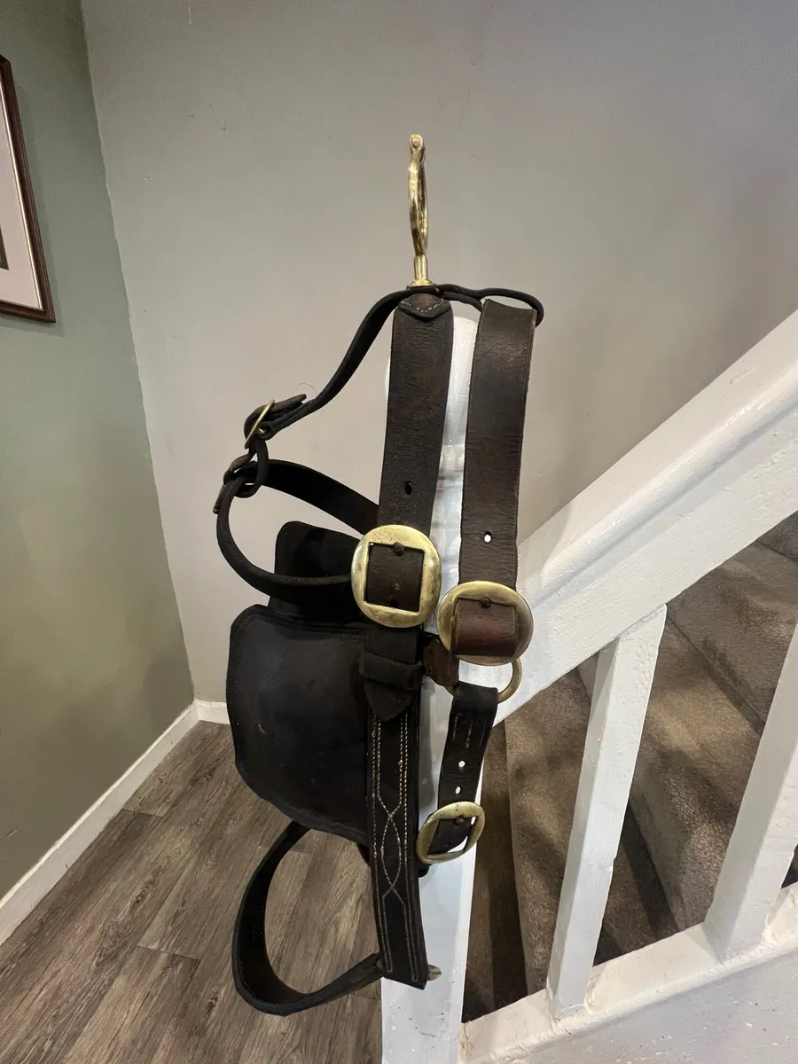 Horse bridles - Image 1