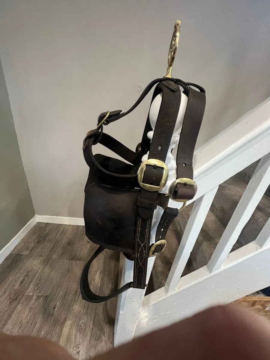 Horse bridles - Image 3