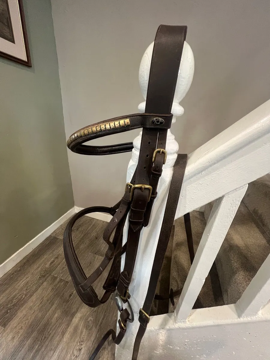 Horse bridles - Image 4