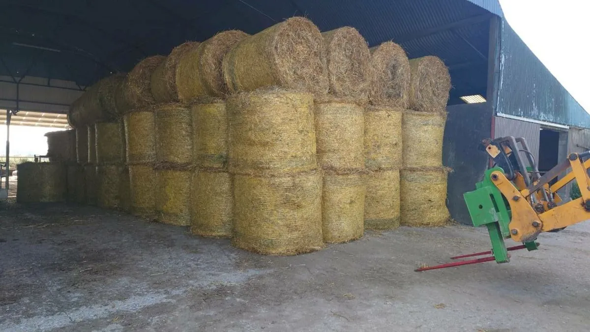 Hay and Straw - Image 1