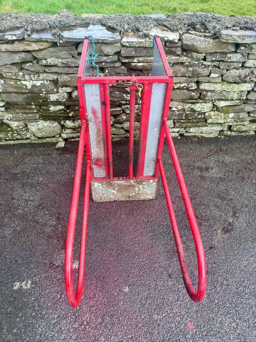 Lamb Adoption Crate - Image 2