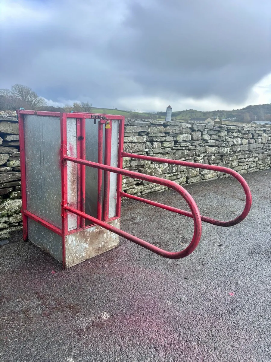 Lamb Adoption Crate - Image 1