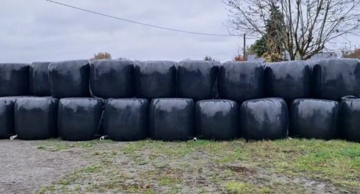 Bales of Silage Haylage - Image 1