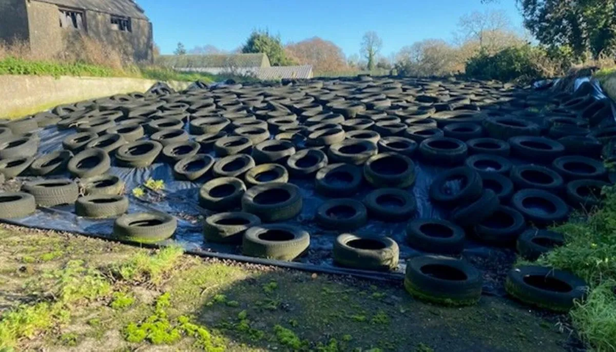 Bales of Silage Haylage - Image 2