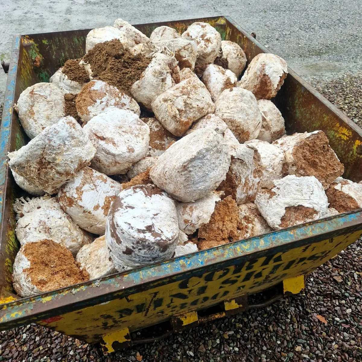 Spent mushroom blocks free to take away - Image 2