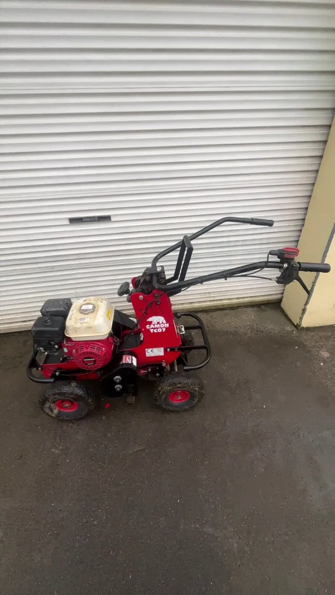 Camon turf cutter - Image 1