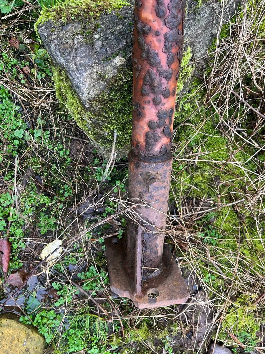 Ferguson roll bar - Image 4