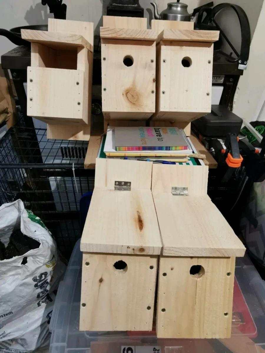 Bird Nesting boxes - Image 4