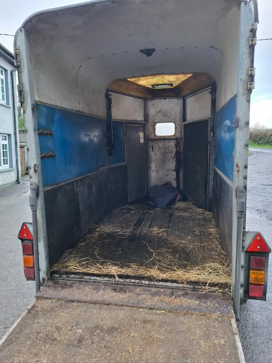 505 Horsebox - Image 2