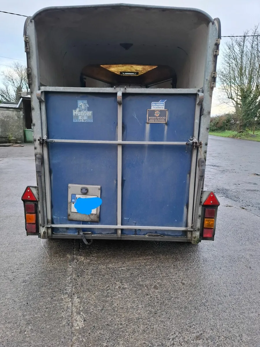 505 Horsebox - Image 3