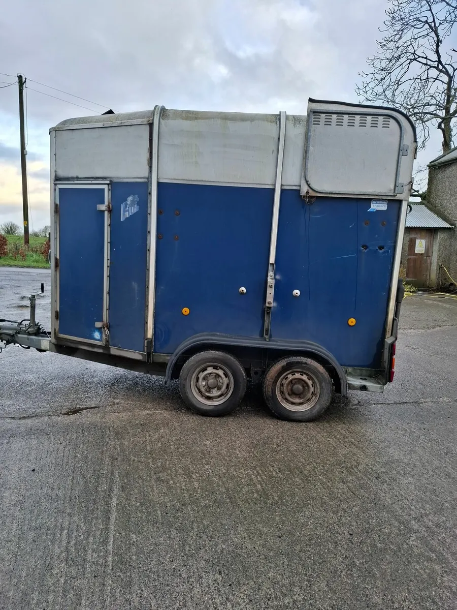505 Horsebox - Image 1