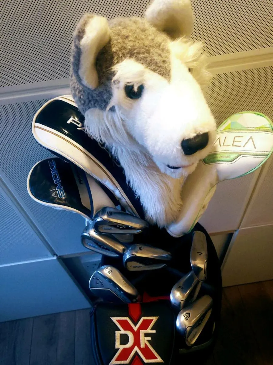 Set Of Ladies Golf Clubs - Image 1