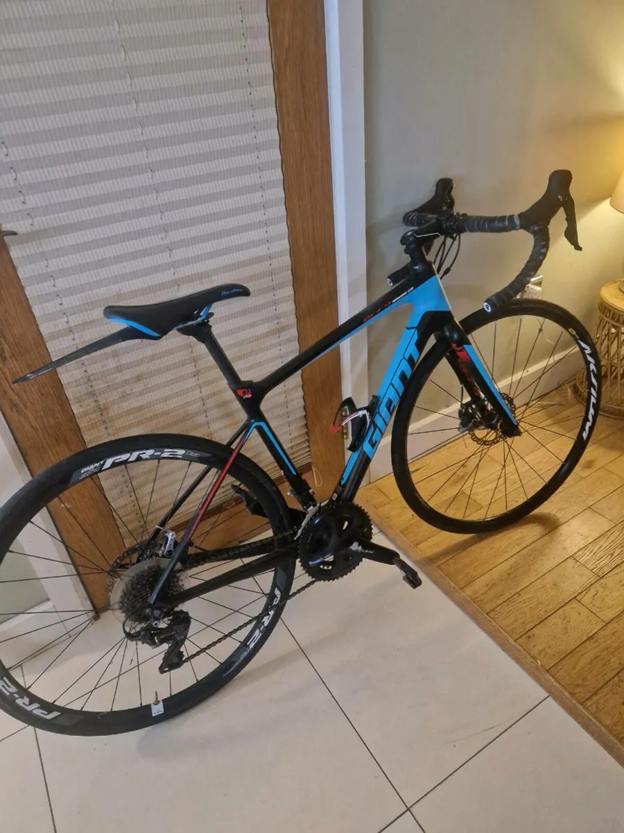 Giant race bike - Image 1