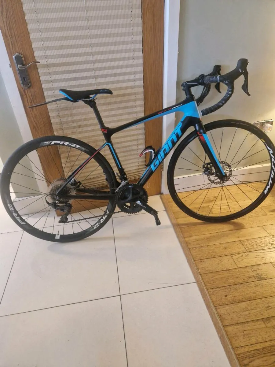 Giant race bike - Image 2