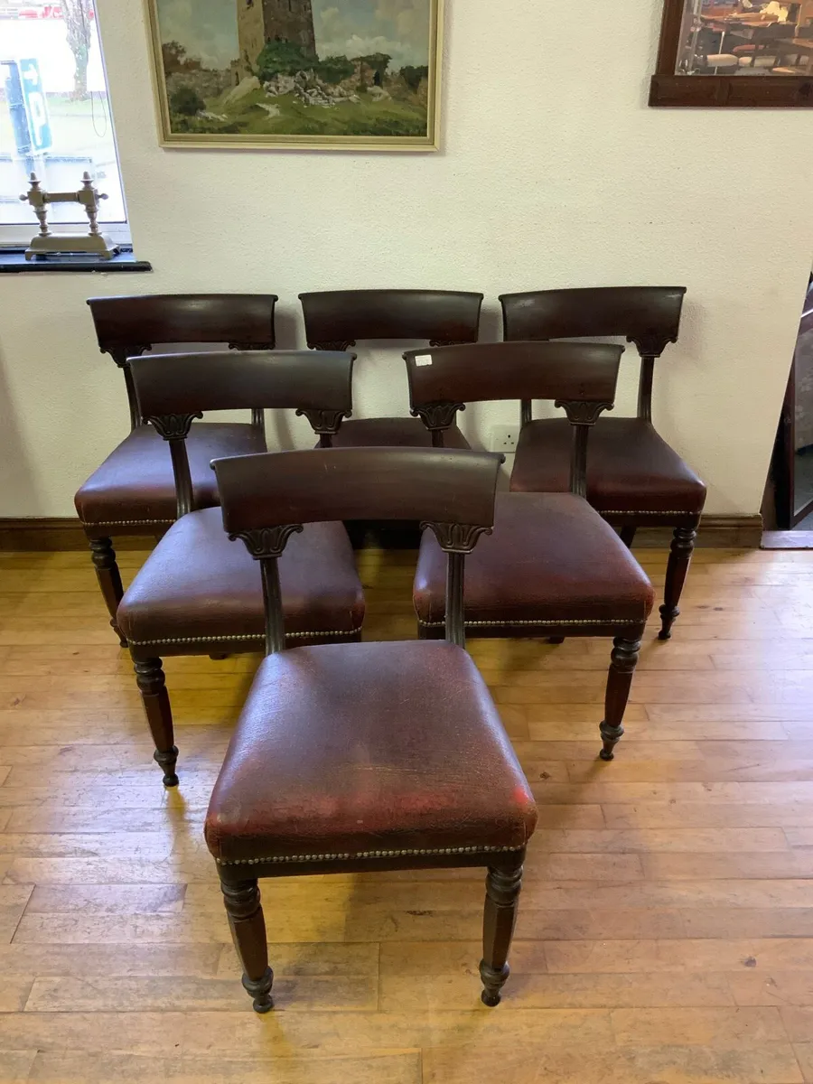 6 William IV Mahogany Chairs - Image 1