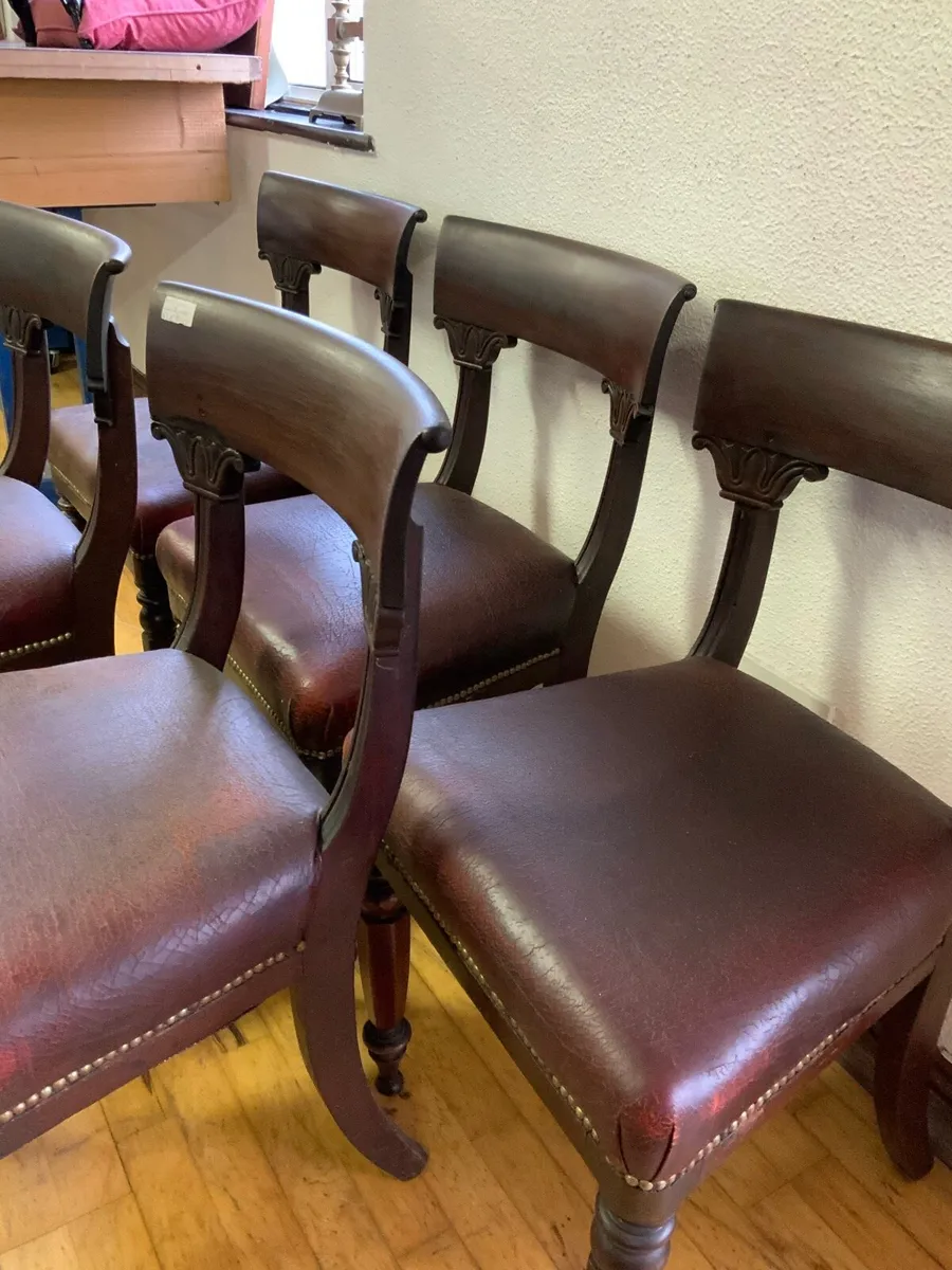 6 William IV Mahogany Chairs - Image 2