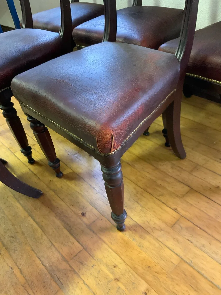 6 William IV Mahogany Chairs - Image 3