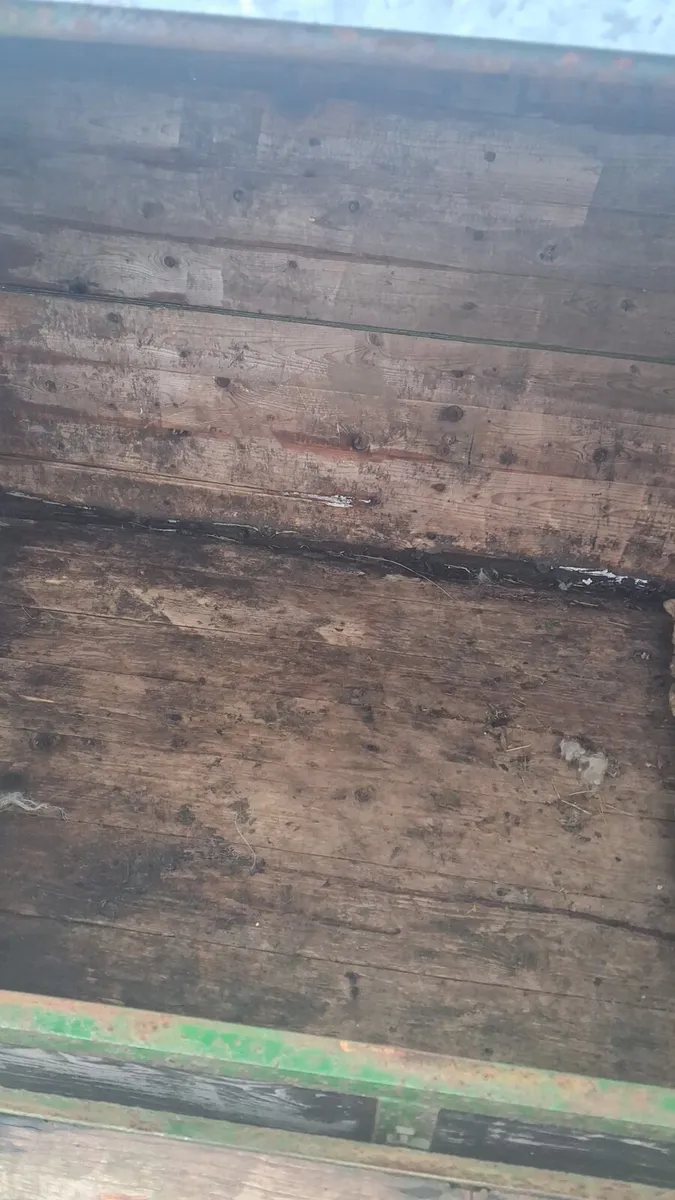 7x4 sheep calf trailer - Image 3