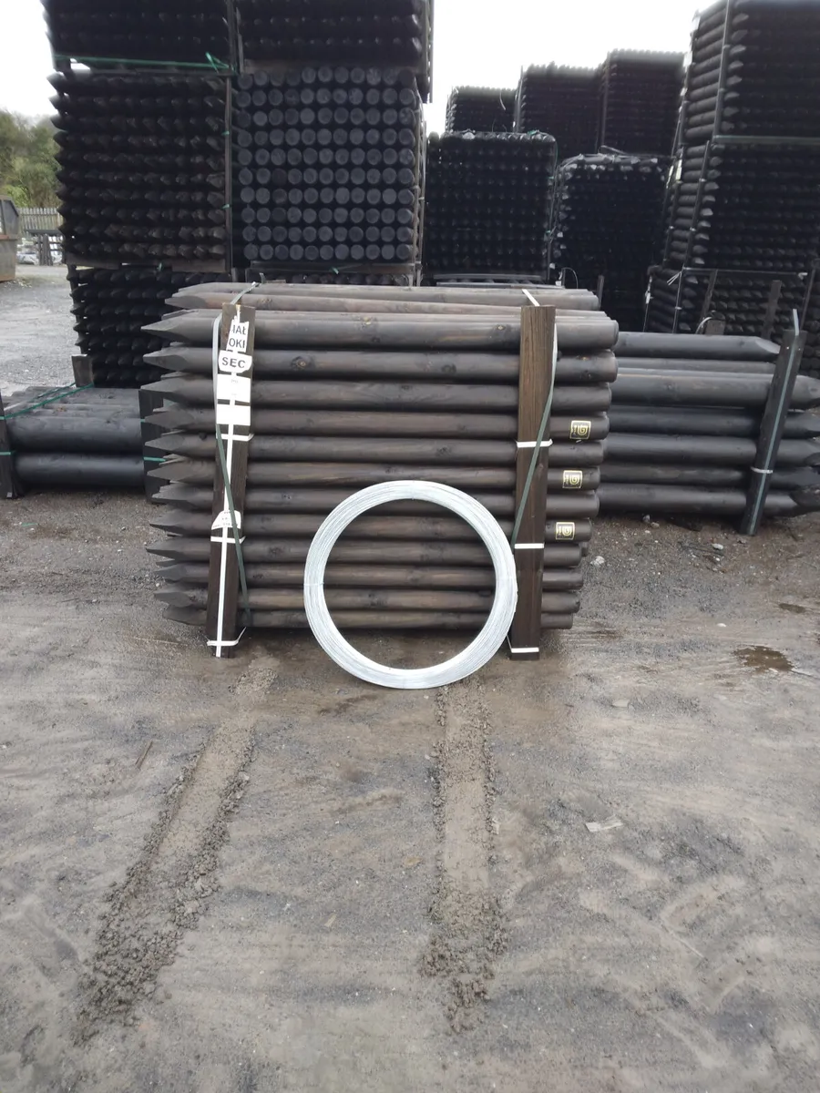 Dura2 timber - Image 4