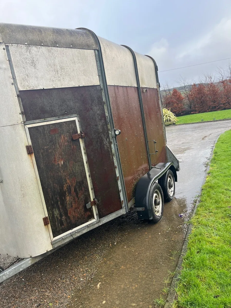 Ivor Williams horse box - Image 3
