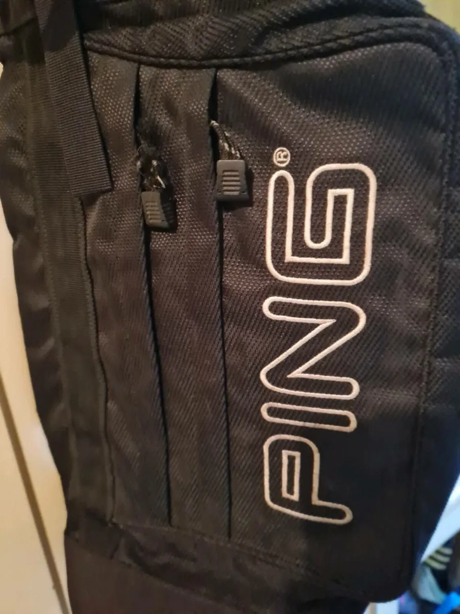 Ping Pencil Bag - Image 2