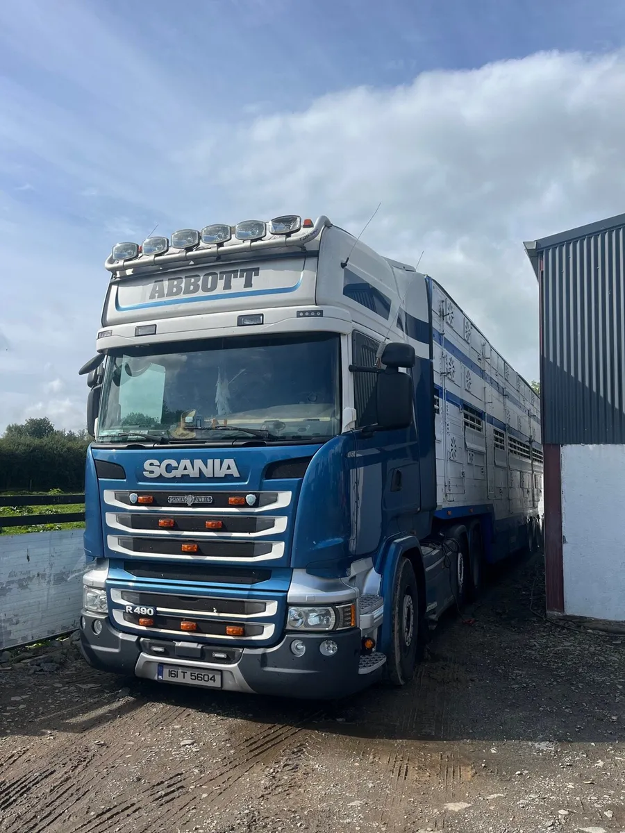 Restricted 🚫 calf collection . - Image 2