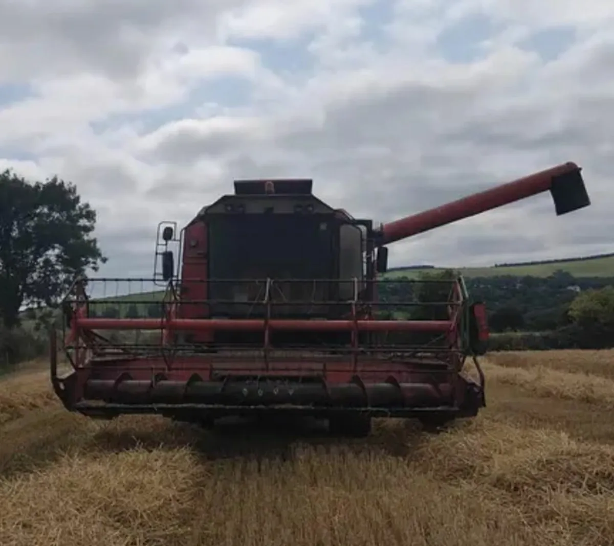 Deutz Fahr - Image 3