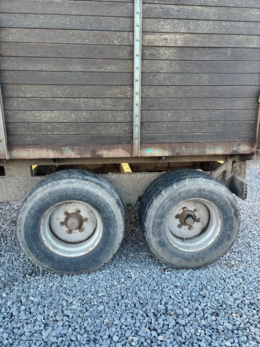 TWIN AXLE CATTLE/GRAIN TRAILER - Image 2