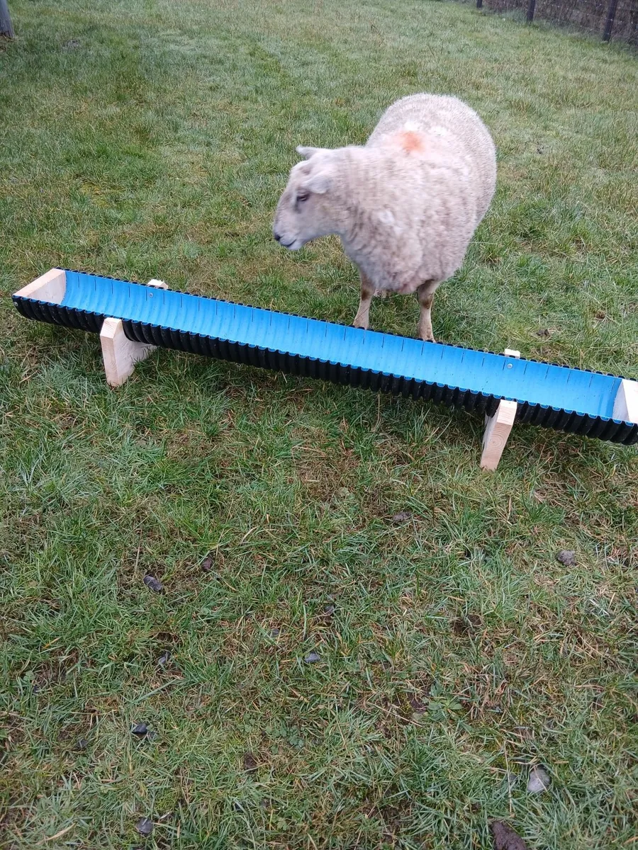 Sheep, calf feeding trough - Image 3