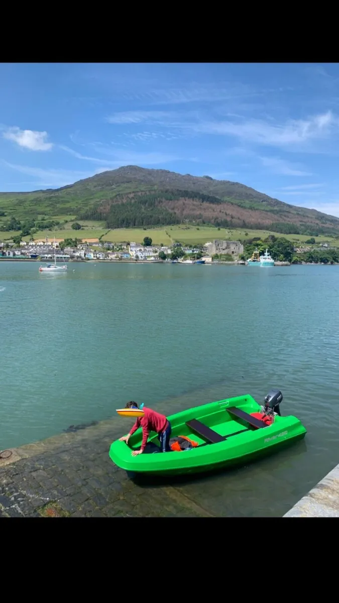 Boat for sale with engine and trailer included - Image 2