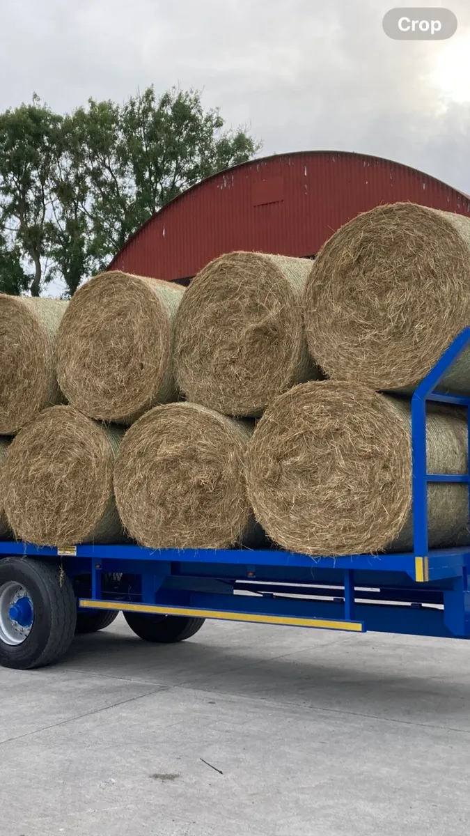 Round bales of hay