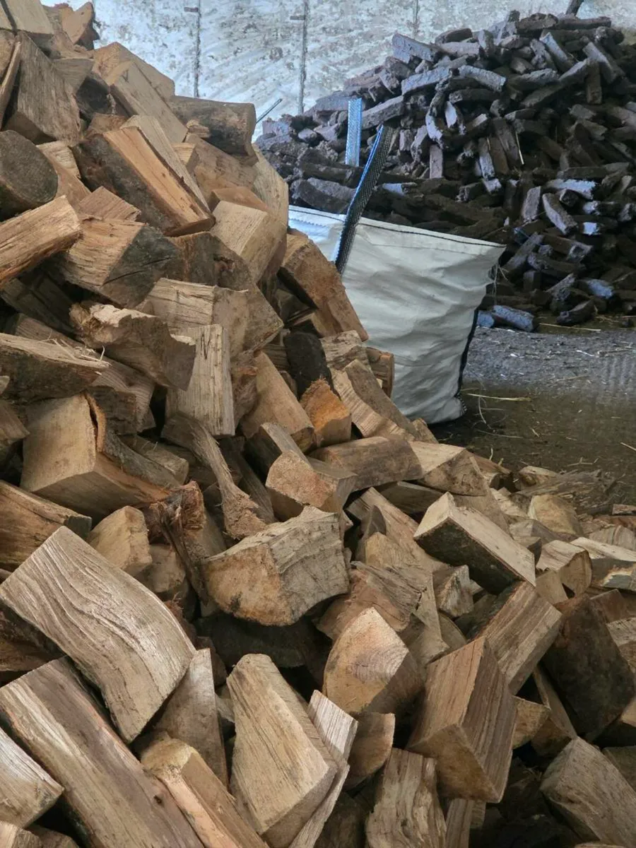 Firewood - Image 2