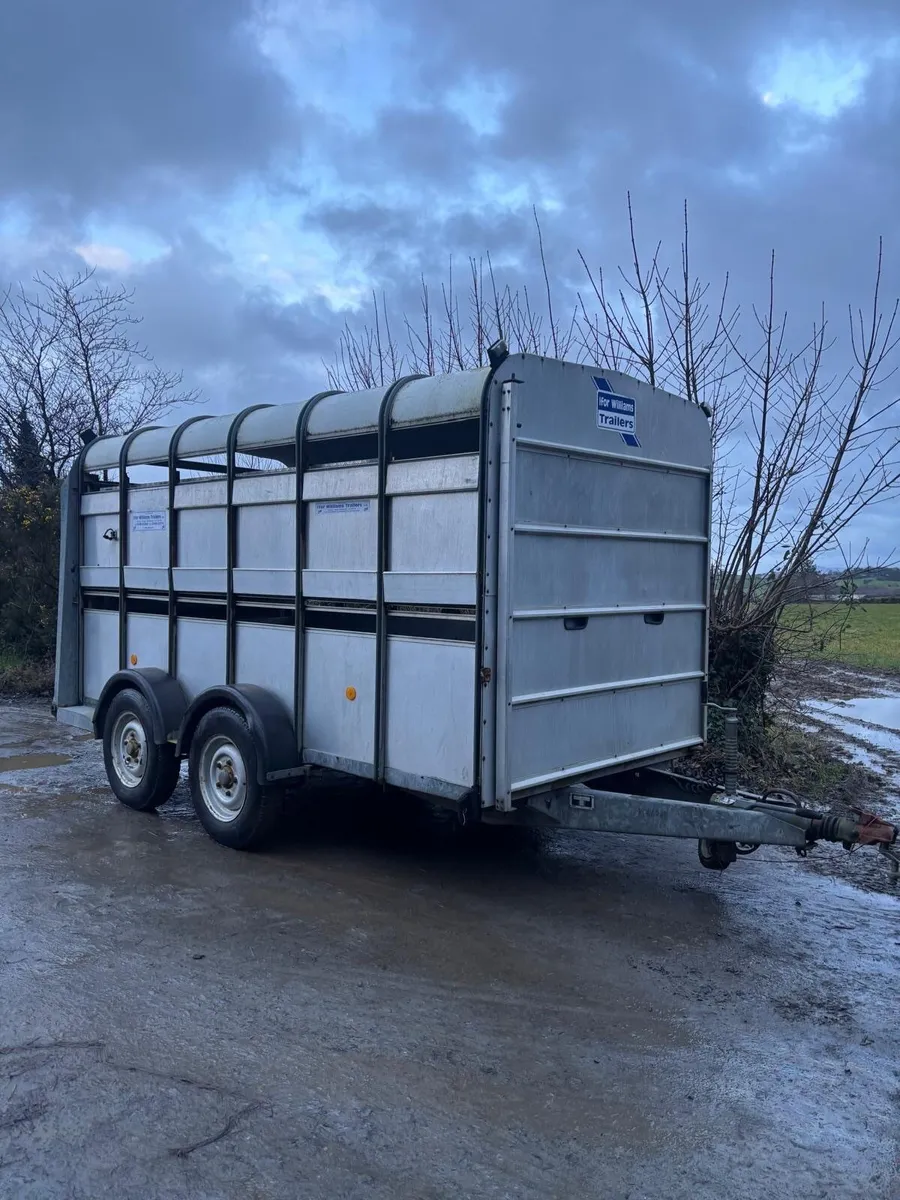 Ifor williams - Image 3