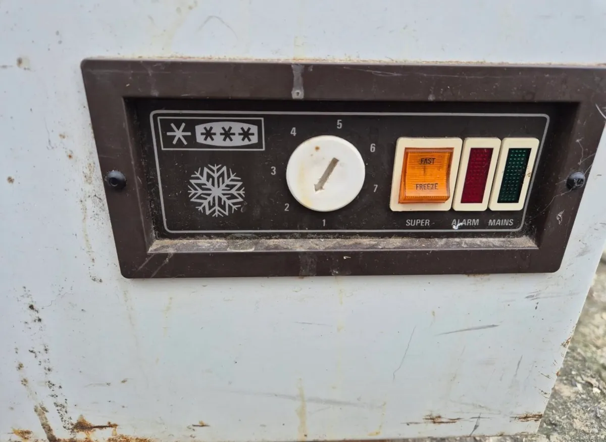 Freezer - Image 4