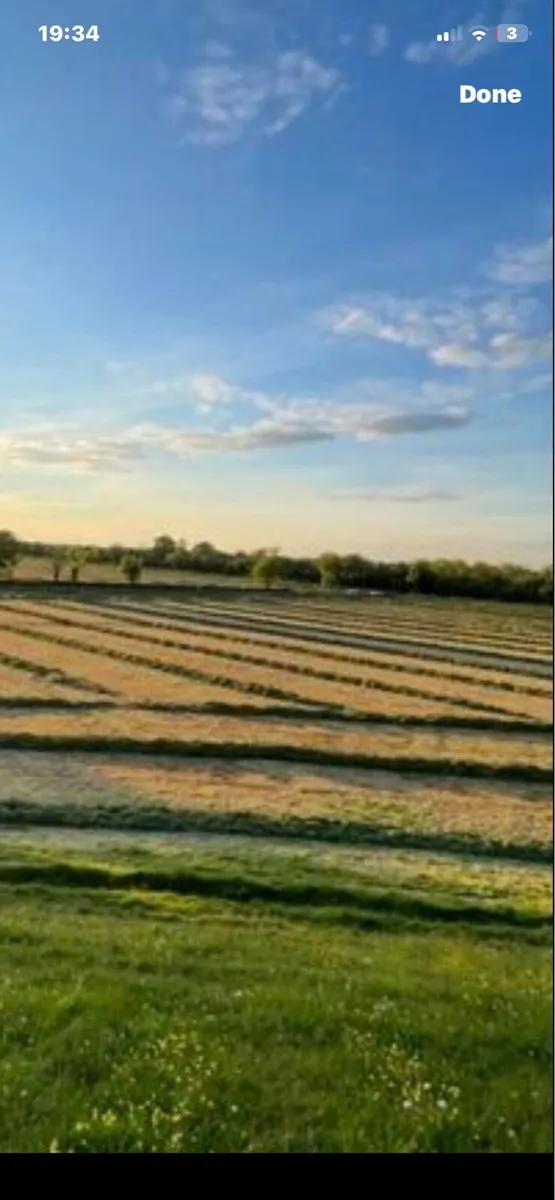 Land to let Dundalk/Hackballscross - Image 2