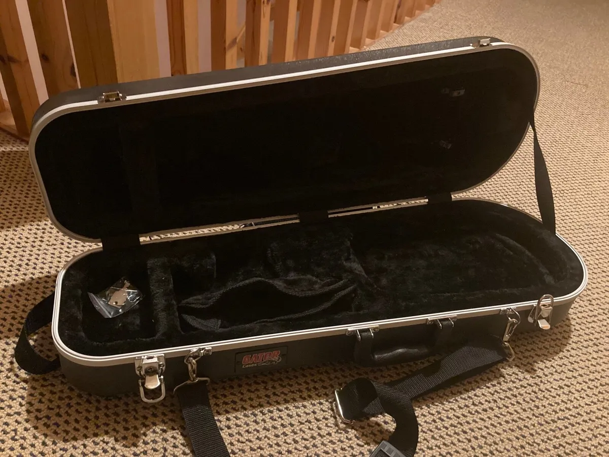 Violin CASE full size - Image 2