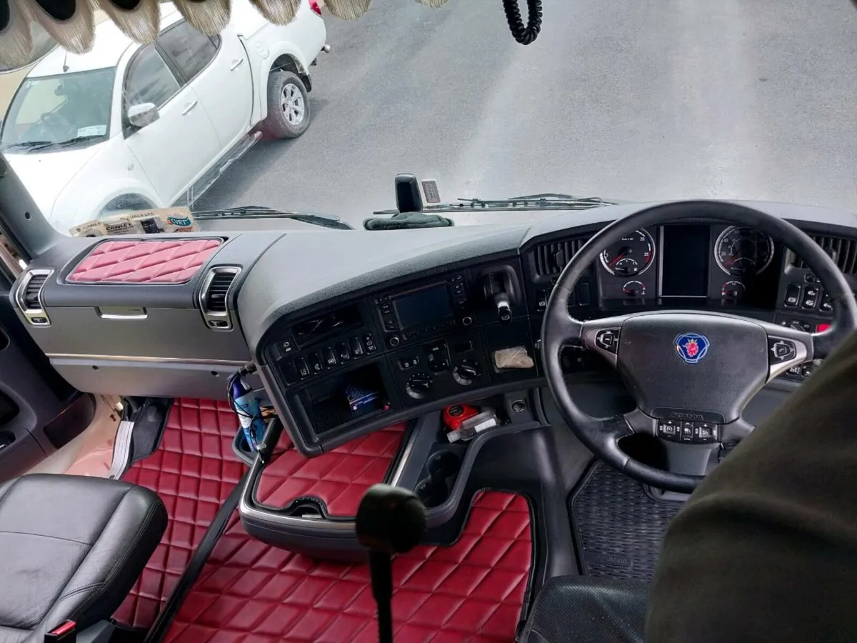 Truck mats - Image 1