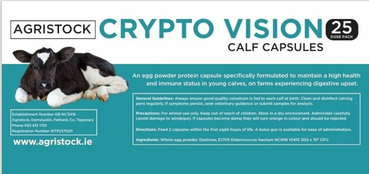 CryptoVision