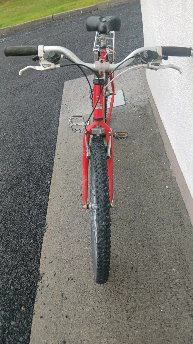 Adult bicycle - Image 1