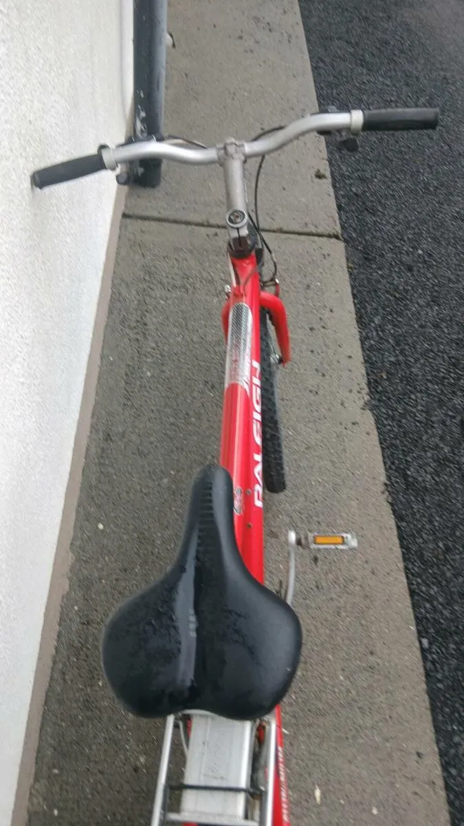 Adult bicycle - Image 4