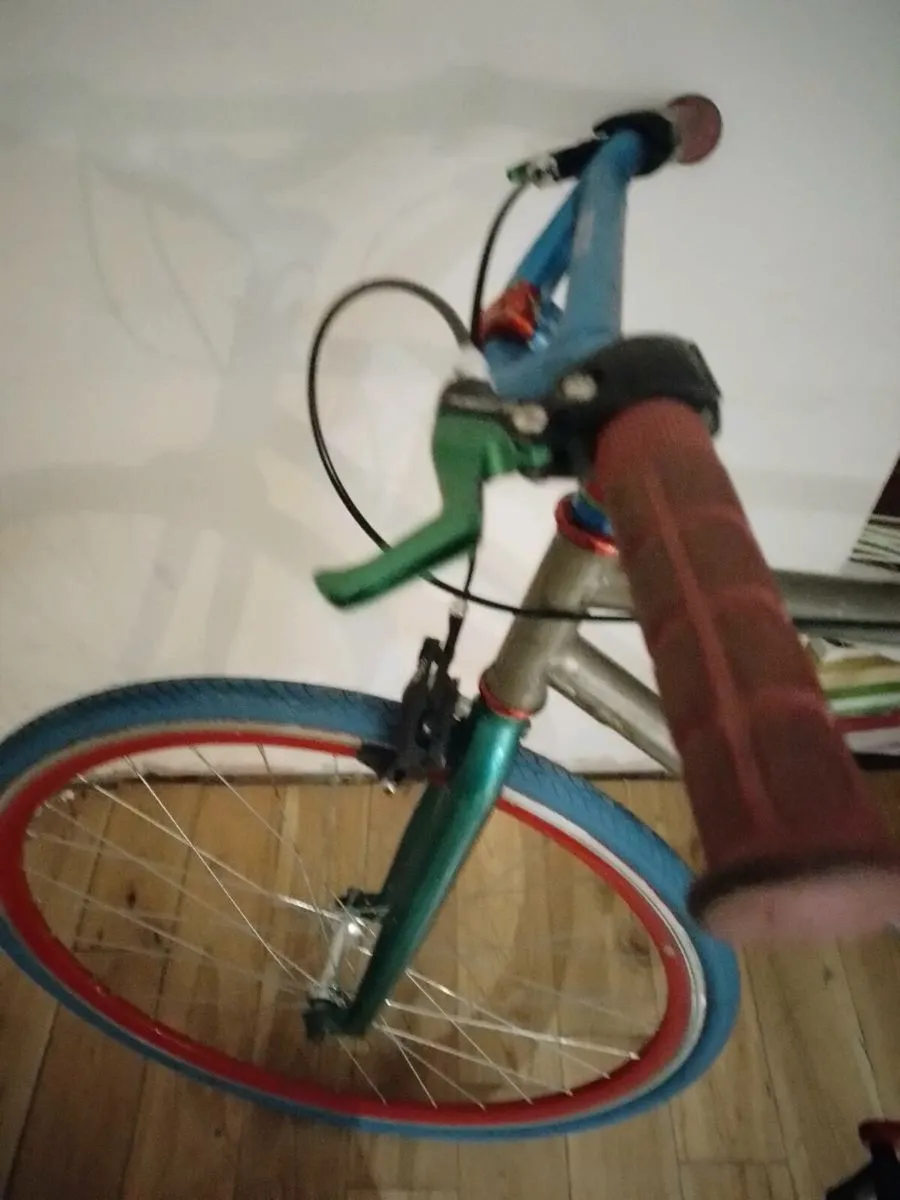 Bicycle single speed - Image 3