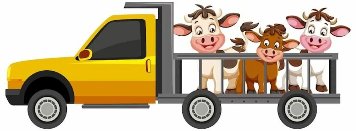 🚛 S&T Livestock Transport