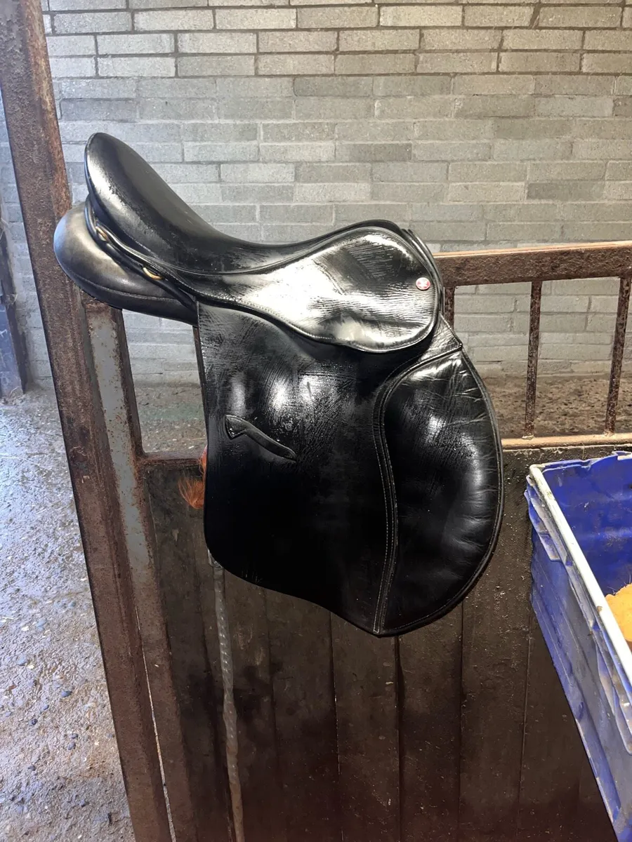 17.5” Medium Width Falcon Saddle - Image 1