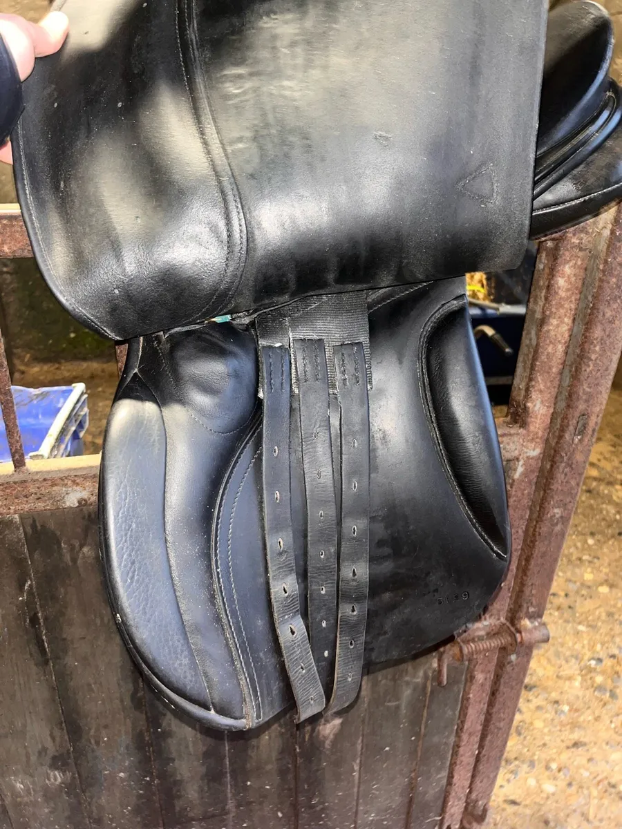 17.5” Medium Width Falcon Saddle - Image 4