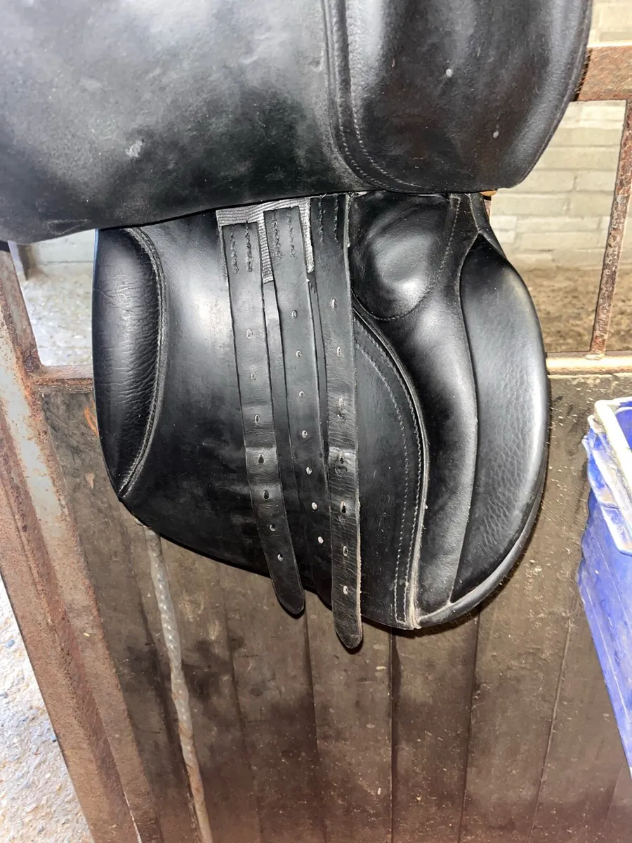 17.5” Medium Width Falcon Saddle - Image 3