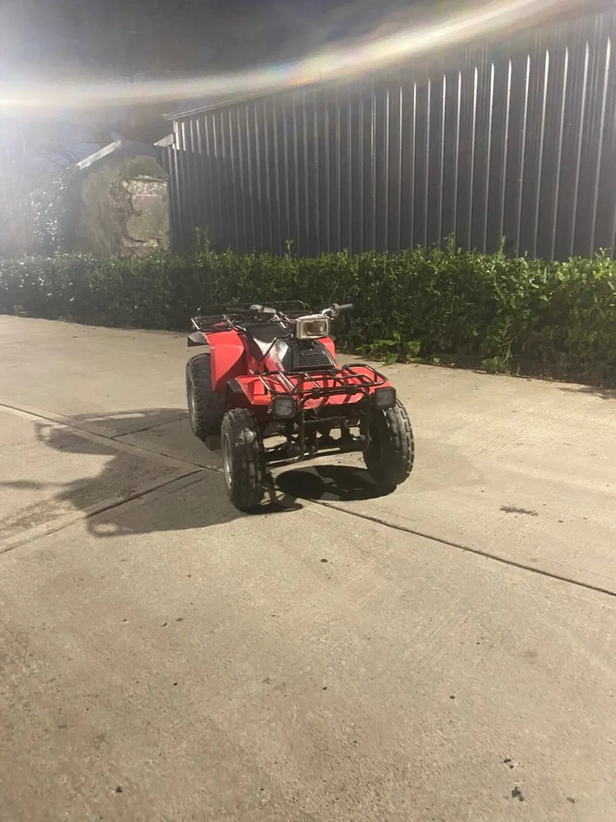 Honda TRX Quad - Image 2